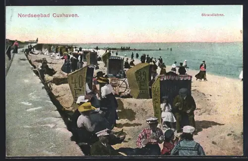 AK Cuxhaven, Strandleben, Promenade