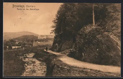 AK Braunlage /Oberharz, Partie bei der Steinklipppe