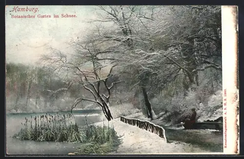 AK Hamburg-St.Pauli, Botanischer Garten im Schnee