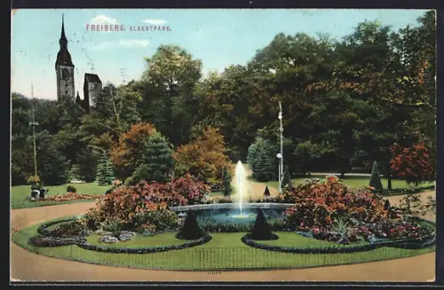 AK Freiberg / Sachsen, Albertpark, Springbrunnen, Kirche