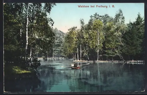 AK Freiburg i. B., Waldsee, Ruderboot, Waldlandschaft