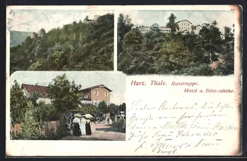 AK Thale /Harz, Rosstrappe, Hotel und Bülowshöhe
