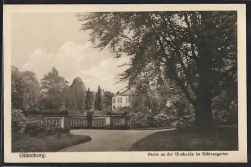 AK Oldenburg / O., Partie an der Blutbuche im Schlossgarten