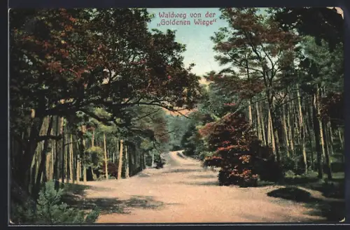 AK Haake / Harburg, Waldweg von der Goldenen Wiege