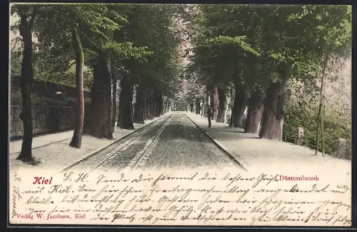 AK Kiel, Düsternbrook, Allee mit Strassenbahngleisen