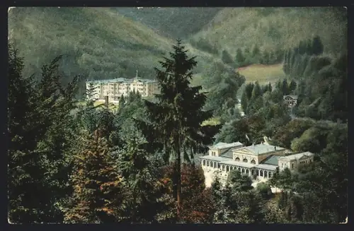 AK Bad Harzburg, Harzburger Hof, Kurhaus