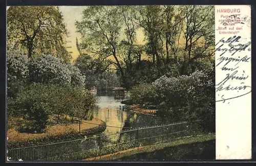 AK Hamburg, Partie im zoologischen Garten, Blick auf den Ententeich