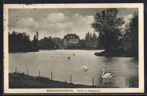AK Braunschweig, Partie im Bürgerpark