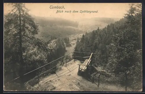 AK Tambach / Thüringen, Blick nach dem Spittlergrund