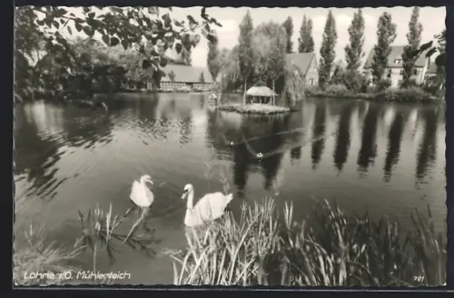 AK Lohne i. O., Mühlenteich