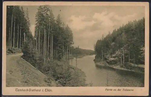AK Tambach-Dietharz i. Thür., Partie an der Talsperre