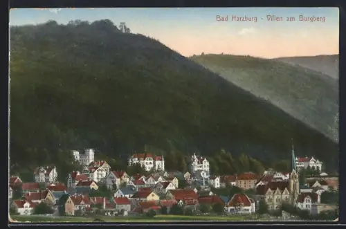 AK Bad Harzburg, Villen am Burgberg