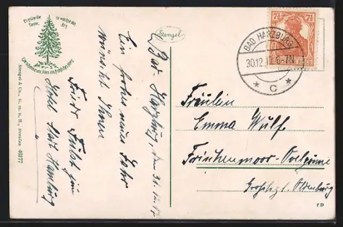 AK Bad Harzburg, Villen am Burgberg