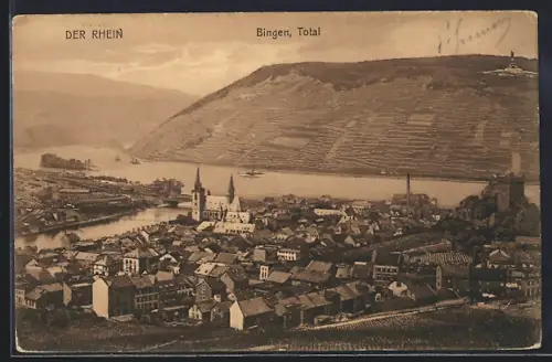 AK Bingen / Rhein, Totalansicht, Rhein, Stadtpanorama