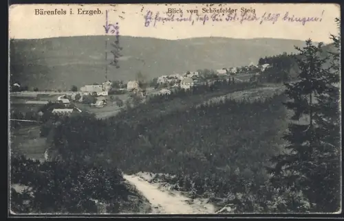 AK Bärenfels i. Erzgeb., Blick vom Schönfelder Steig