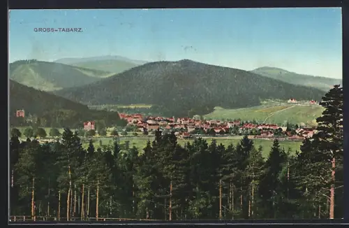 AK Gross-Tabarz, Ortsansicht mit umliegenden Bergen und Wald