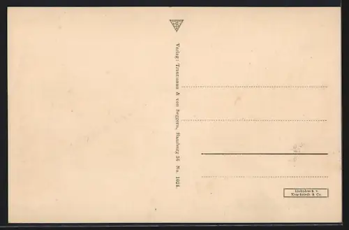 AK Hamburg-Neustadt, Oberlandesgericht, Holstenplatz, Strassenbahn