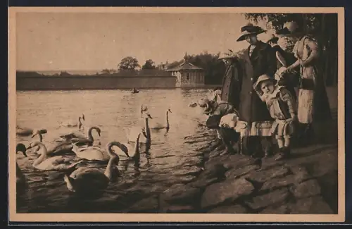 AK Hamburg-St.Georg, An der Alster, Frauen und Kinder füttern Schwäne