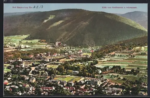 AK Bad Blankenburg / Thür., Blick vom Greifenstein nach Schwarzatal