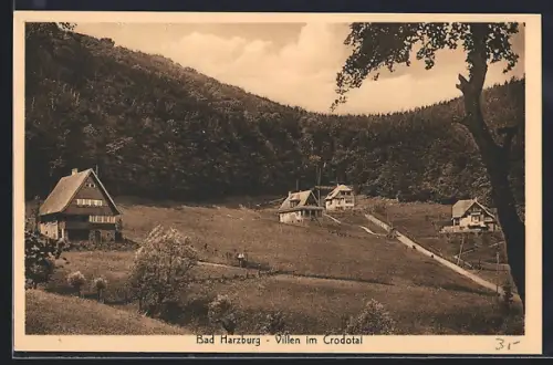AK Bad Harzburg, Villen im Crodotal