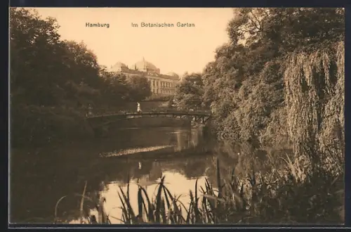 AK Hamburg-St.Pauli, Botanischer Garten, Brücke, Teich