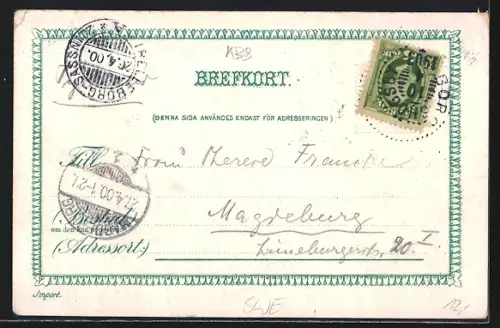 Lithographie Helsingborg, Hafenpanorama, Radhus & Kärnan