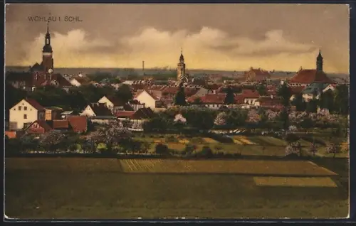 AK Wohlau i. Schl., Teilansicht aus der Vogelschau