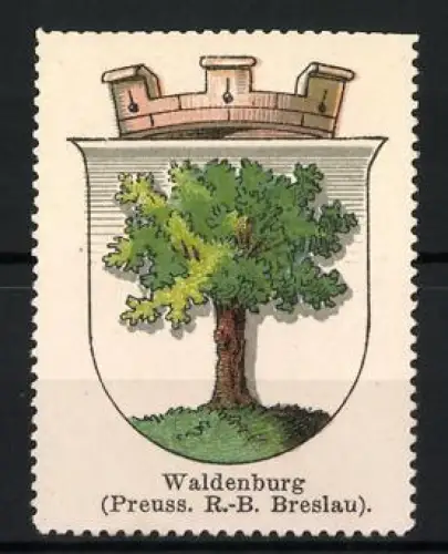 Reklamemarke Waldenburg, Preuss. R.-B. Breslau, Baum im Wappen