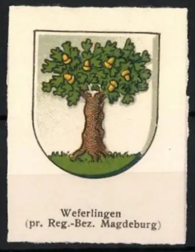 Reklamemarke Weferlingen, Pr. Reg.-Bez. Magdeburg, Eiche mit Eicheln
