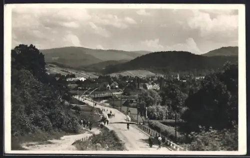 AK Szolyva, Látkép