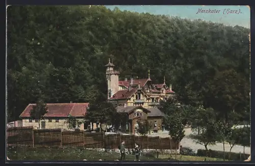 AK Netzkater /Harz, Hotel Netzkater, Besitzer Emil Liesegang