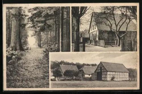 AK Rehwinkel, Partie am Forsthaus und Waldpartie