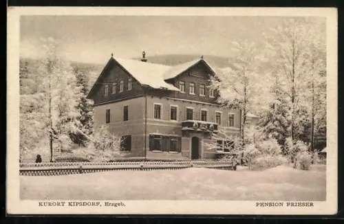 AK Kipsdorf /Erzgeb., Pension Frieser in der verschneiten Landschaft, Bes. Paul Frieser