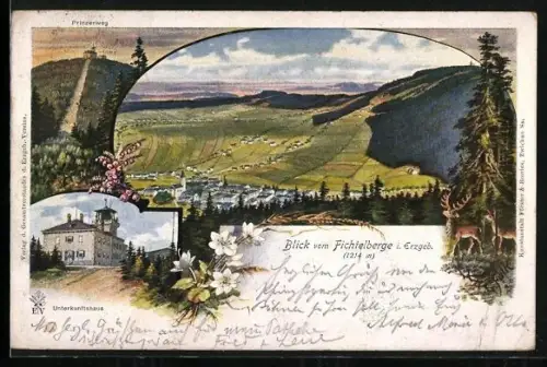 Künstler-AK Fichtelberg i. Erzgeb., Prinzenweg, Blick nach Ober-Wiesenthal