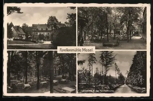 AK Mosel, Gaststätte Forellenmühle mit Terrasse, Waldpartie an der Forellenmühle