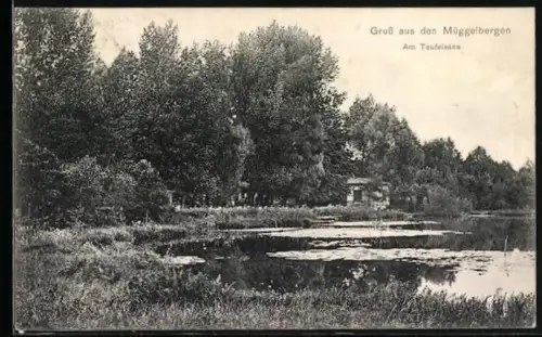 AK Berlin-Köpenick, Müggelberge, Am Teufelssee, Waldlandschaft, See
