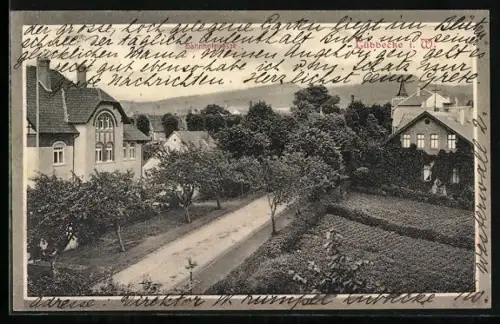 AK Lübbecke, Bahnhofstrasse, Wohnhäuser und Gärten