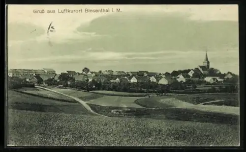 AK Biesenthal i. M., Ortsansicht mit Kirche und Landstrasse