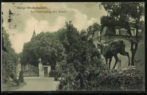 AK Königs-Wusterhausen, Schlosseingang mit Hirsch