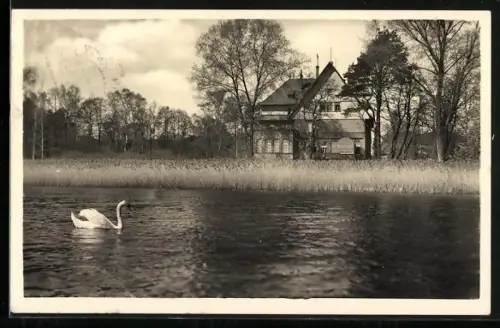 AK Gr. Köris-Mark, Schulungsstätte des deutschen Zentralinstituts für Erziehung und Unterricht, See, Schwan