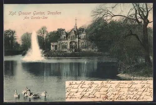 AK Dresden, Königlicher Grosser Garten, Carola-See, Palais, Springbrunnen, Schwäne