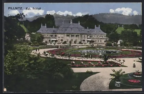 AK Dresden-Pillnitz, Königliches Schloss, Schlosspark