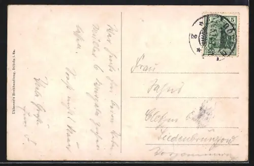 AK Döbeln i. S., Gesamtansicht