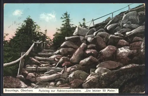 AK Braunlage /Oberharz, Aufstieg zur Achtermannshöhe