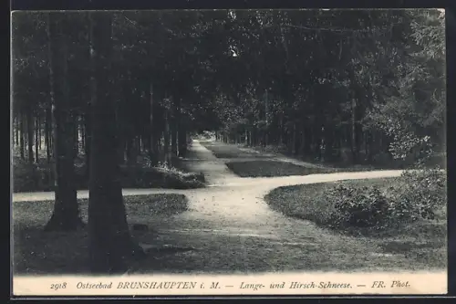 AK Brunshaupten i. M., Ostseebad, Lange- und Hirsch-Schneese