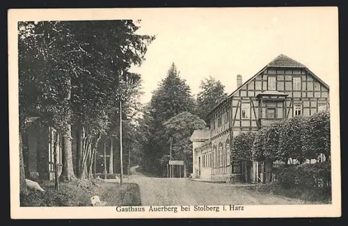 AK Stolberg i. Harz, Gasthaus Auerberg