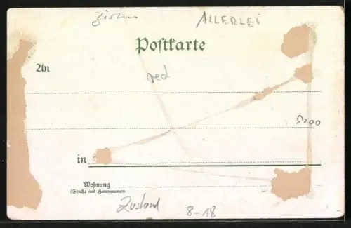 Lithographie Barnum and Bailey Limited, Wettrennen römischer Reiter, Bewegliche Pferde-Pyramide, Tandem Hürden-Rennen, Z