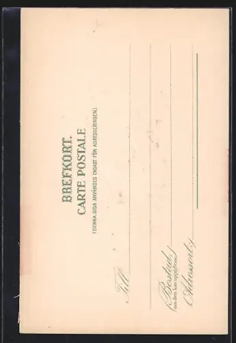 AK Helsingborg, Radhuset, Strassenbahn