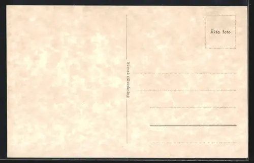 AK Malmö, Vattentornet, Strassenbahn