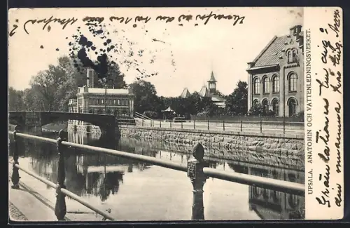 AK Upsala, Anatomin och Vattenledningsverket